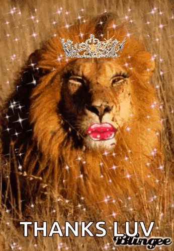 Lion With Crown Saying Thanks Luv Blingee GIF