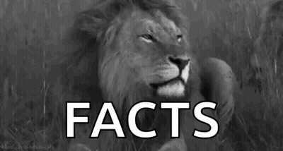 Lion With Facts Text GIF