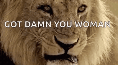 Lion With Got Damn You Woman GIF