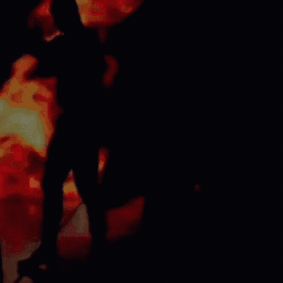 Lion With Live & Reaction GIF