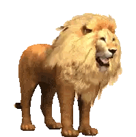 Lion With Long Mane Sticker