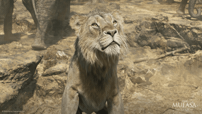 Lion With Mufasa Logo GIF
