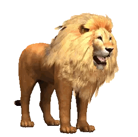 Lion With Open Mouth And Long Mane Sticker