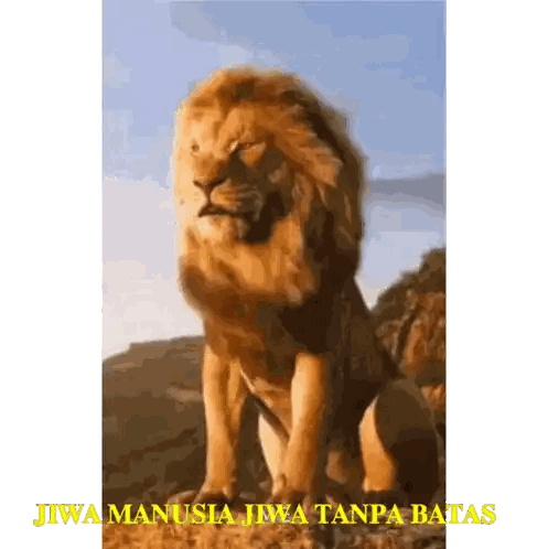 Lion With Words Jiwa Manusia Jiwa Tanpa Batas Sticker