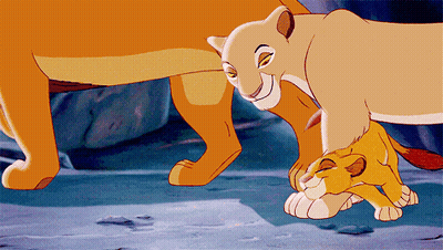 Lioness And Baby Lion GIF