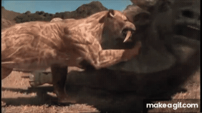 Lioness Standing Next To Hippopotamus In Wild GIF