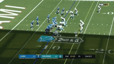 Lions Detroit GIF