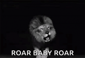 Lions Roaring Baby GIF