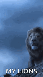 Lions Roaring For The Pride GIF