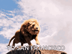 Lions Roaring Full Force GIF