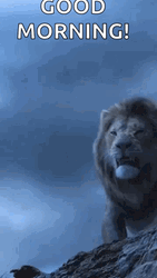 Lions Roaring Good Morning GIF
