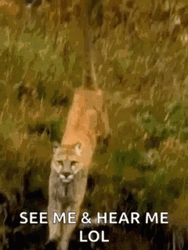 Lions Roaring On Waters GIF
