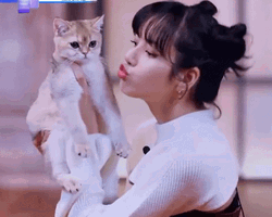 Lisa Manoban Blackpink Kissing A Kitten GIF