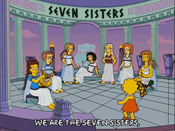 Lisa Meets 7 Sisters The Simpsons GIF