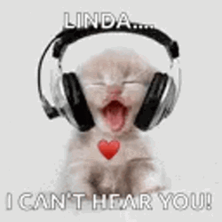 Listen Linda Cute Kitten Headphone GIF
