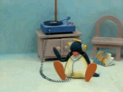 Listening To Music Penguin In Headphones  GIF