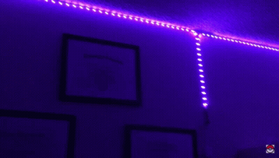 Lit Skeleton Light Bulb In Dark GIF