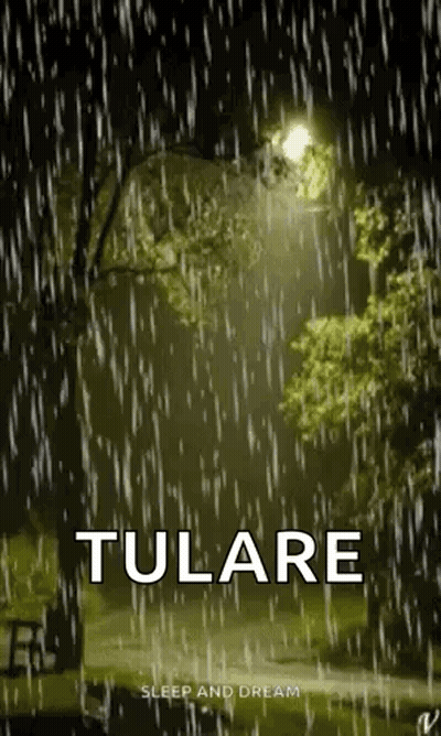Lit Street Light In Rainy Park GIF