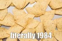 Literally 1984 Chips And Salsa GIF