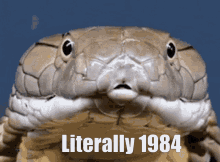 Literally 1984 Snake GIF