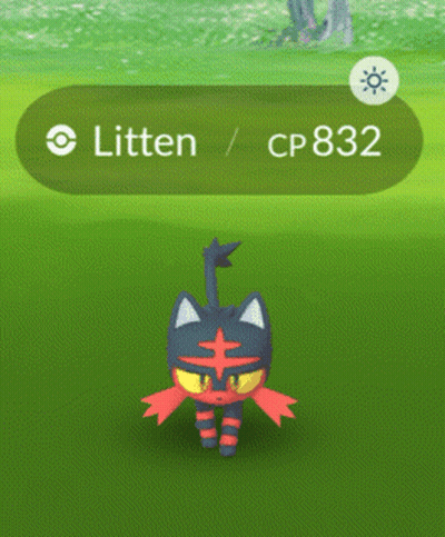 Litten Pokemon CP 832 In Grass GIF