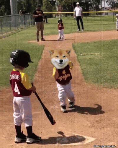 Little Boy Baseball Player Number 4 GIF