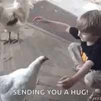 Little Boy Hugging Chicken Sending You A Hug Meme GIF