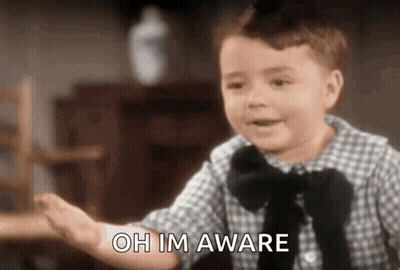 Little Boy In Plaid Shirt And Bow Tie High Fiving Saying Oh Im Aware GIF