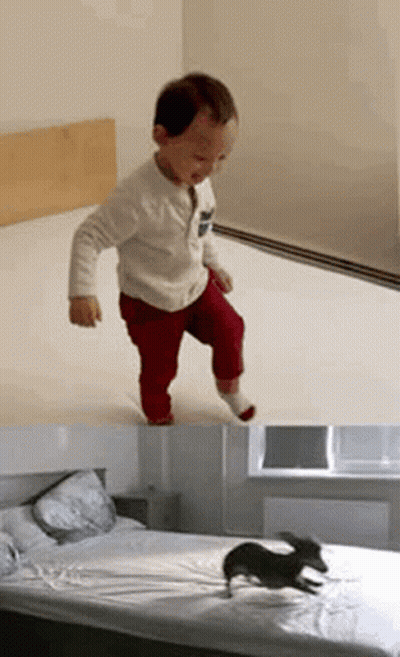 Little Boy Standing On Bed Beside Dog GIF