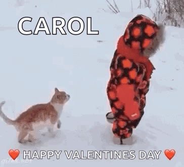 Little Boy Walking In Snow Next To Cat GIF
