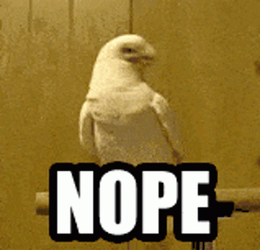 Little Corella Nope Meme GIF