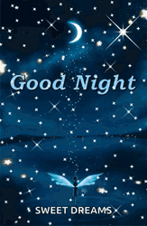 Little Fairy Goodnight Sweet Dreams GIF