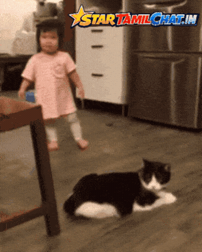 Little Girl And Cat Star Tamilchat.in GIF