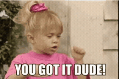 Little Girl In Pink Shirt Saying You Got It Dude GIF