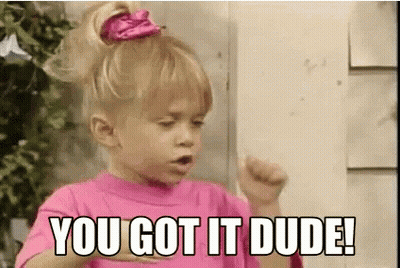 Little Girl In Pink Shirt Saying You Got It Dude GIF