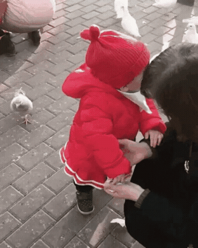 Little Girl In Red Jacket Feeding Pigeons GIF