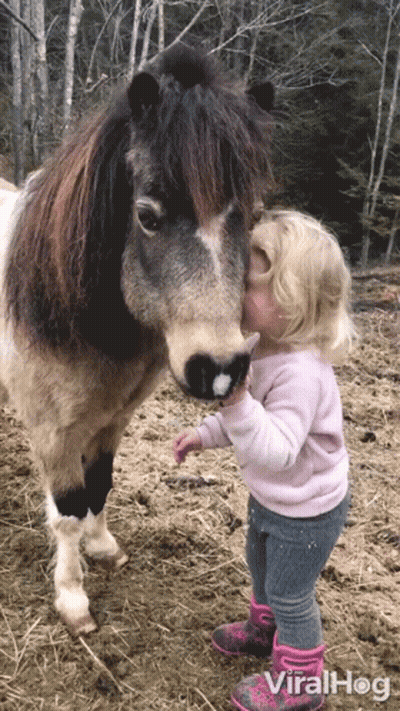 Little Girl Kisses Pony on Nose Viralhog Video