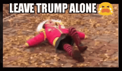 Little Girl Laying On Ground Leave Trump Alone GIF