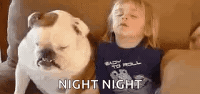 Little Girl Lying On Couch Next To Dog GIF
