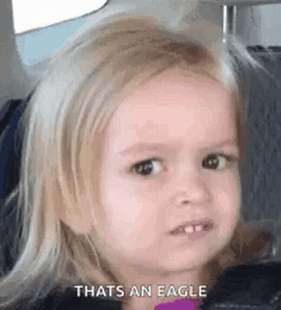 Little Girl Making Funny Face Saying Thats An Eagle GIF