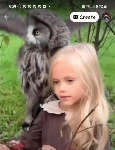 Little Girl Next To Owl Saying Create GIF