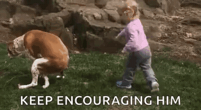 Little Girl Playing With Dog In Field GIF