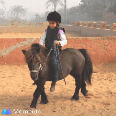 Little Girl Riding Pony In Sand GIF