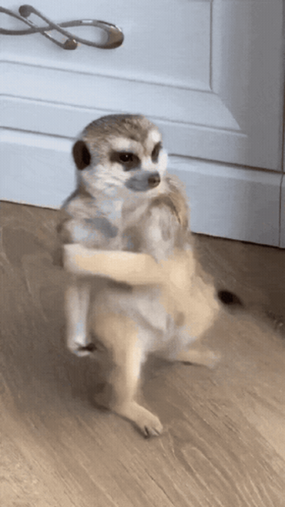 Little Girl Sitting On Couch Eating Candy Bar GIF