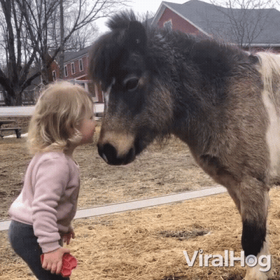 Little Girl Standing Next To Pony Viralhog GIF
