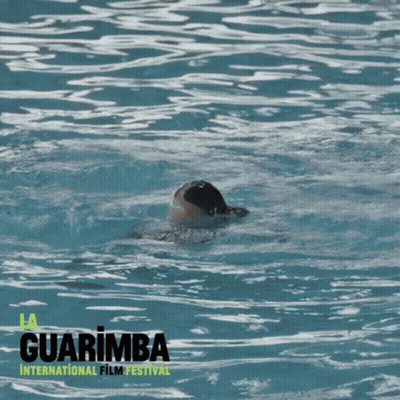 Little Girl Swimming In Pool At Guarimba Film Festival GIF