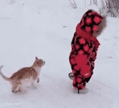 Little Girl Walking In Snow With Cat GIF