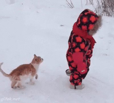 Little Girl Walking In Snow With Cat GIF