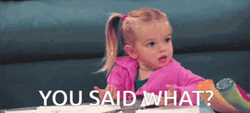 Little Girl What Did He Say Meme GIF