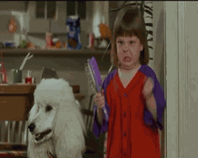 Little Girl With Brush And White Poodle Funny Face GIF
